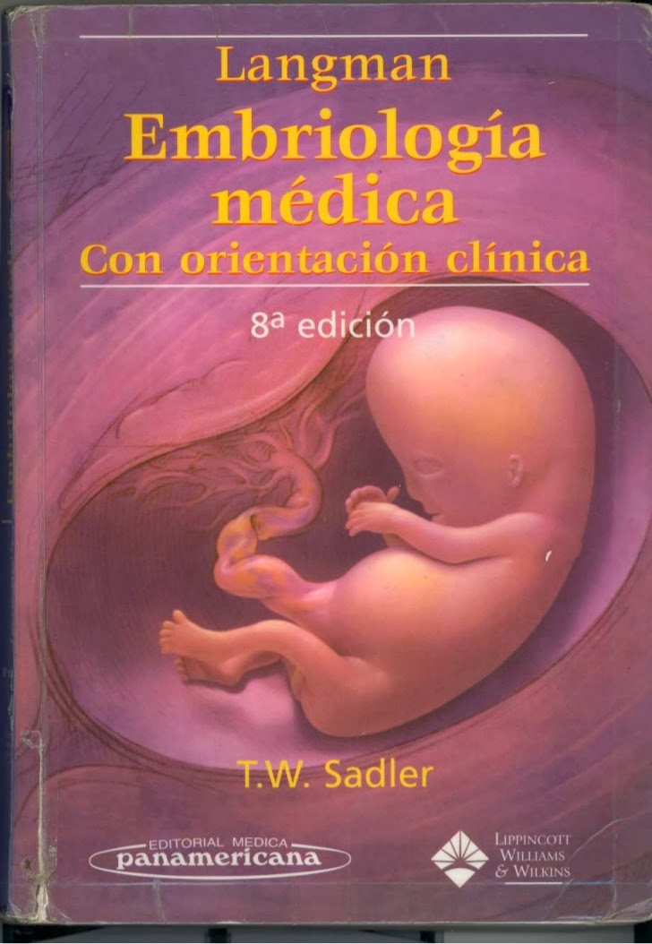 langman embriologia pdf
