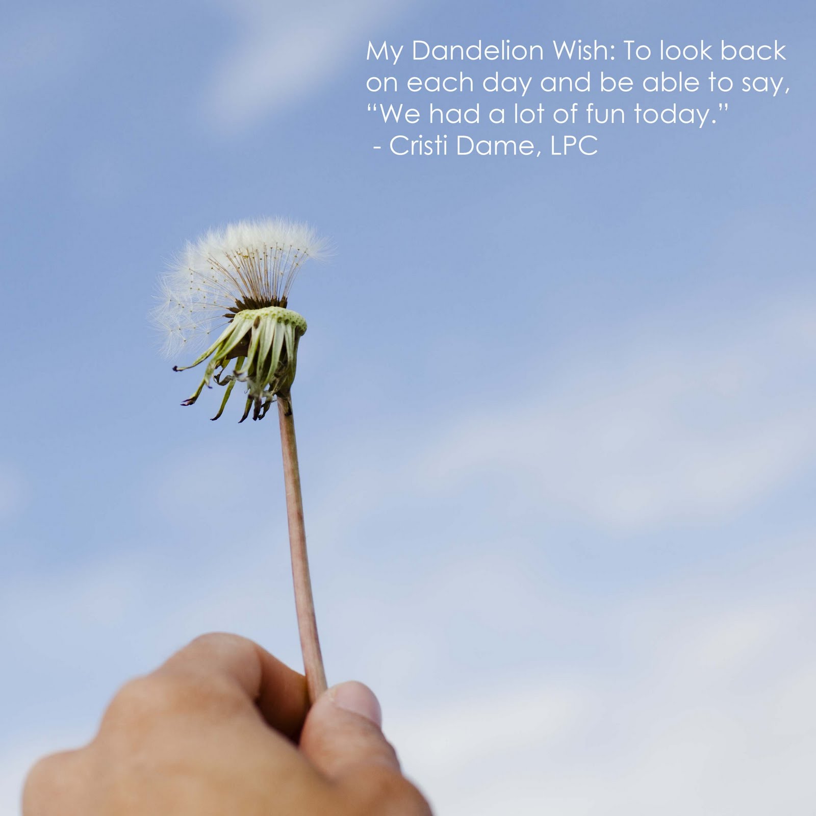dandelion wishes blog